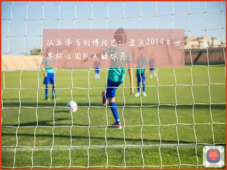 从本泽马到博格巴：盘点2014年世界杯法国队关键球员